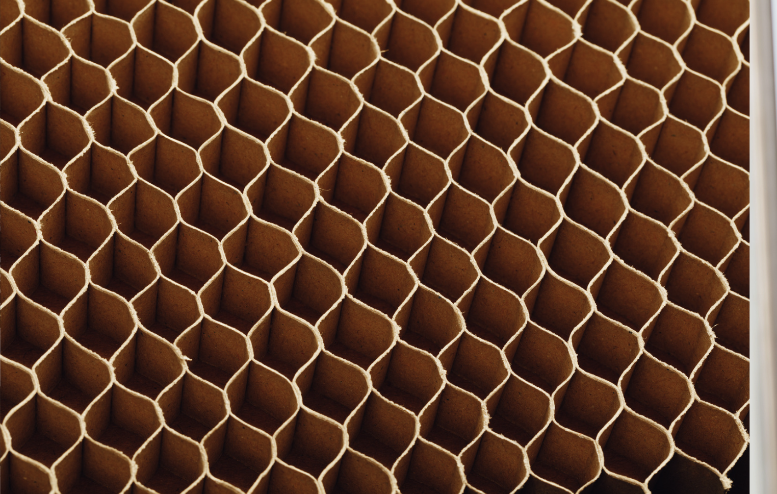 Croisillon carton : la solution idéale pour un transport sécurisé